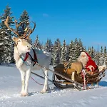 Pellonranta 1 Lejlighed