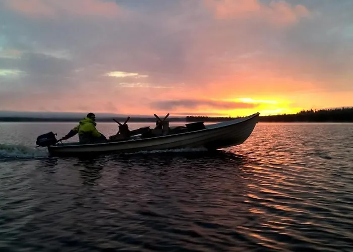 Pellonranta 1 佩洛