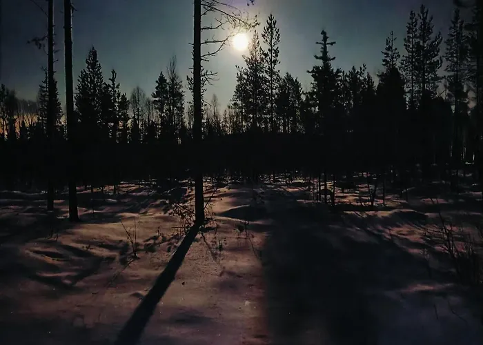 Pellonranta 1 * 佩洛