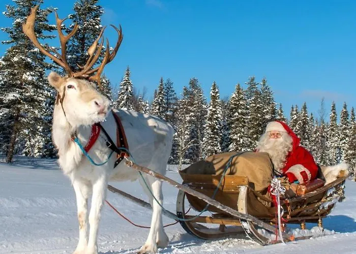 Pellonranta 1 公寓